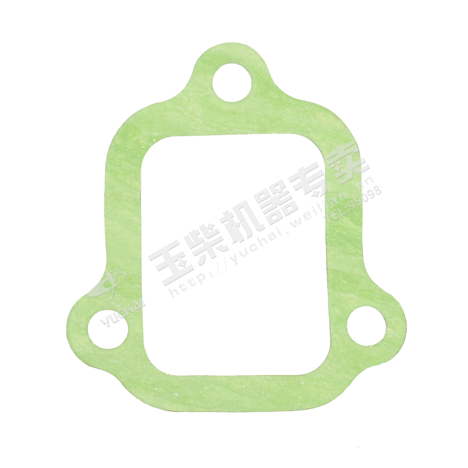 Intake pipe gasket