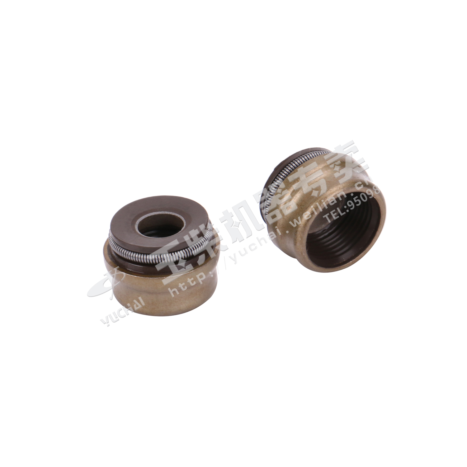 Valve rod oil seal-1