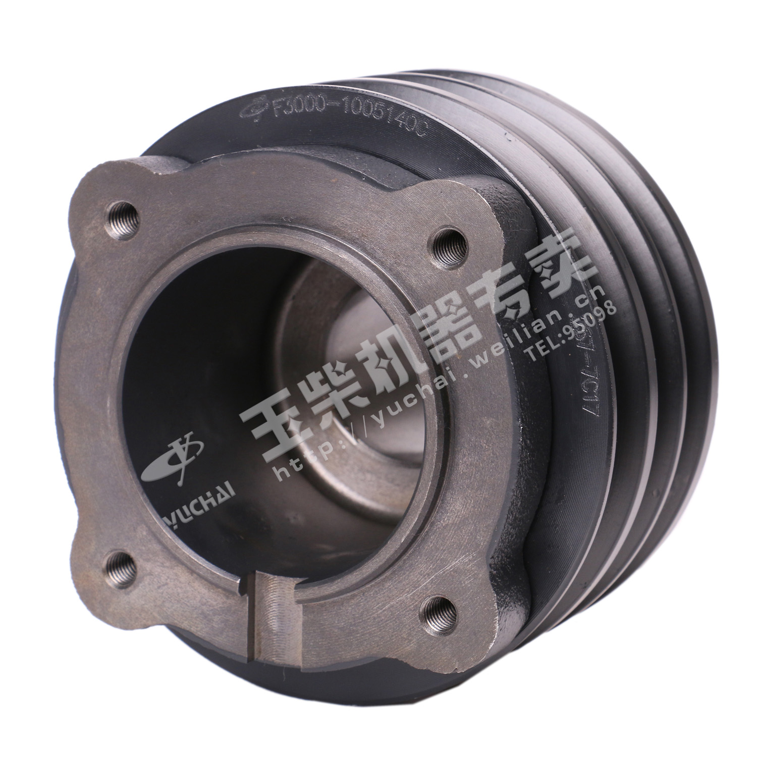 Vibration Absorber Assembly