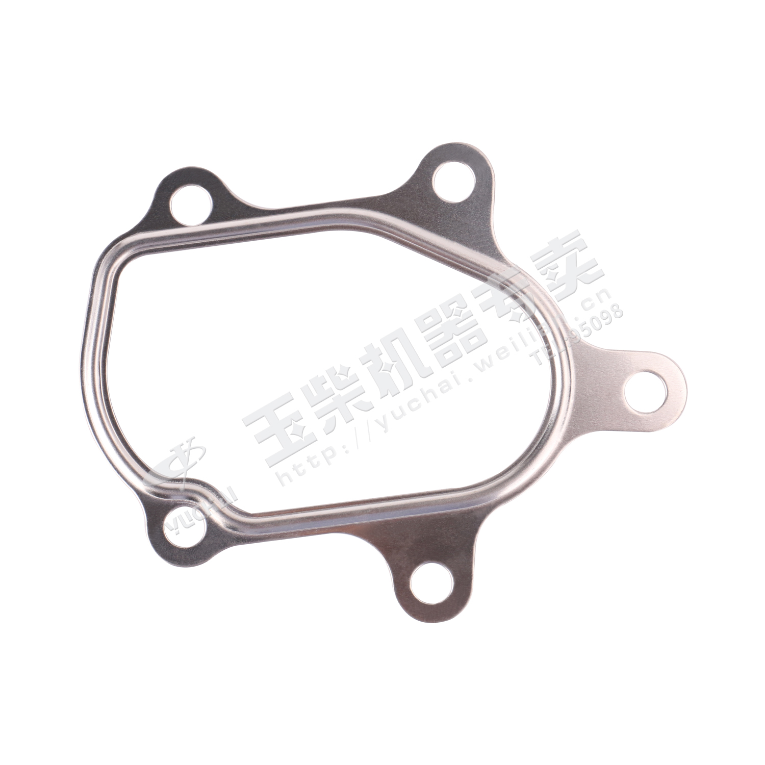 Exhaust pipe gasket