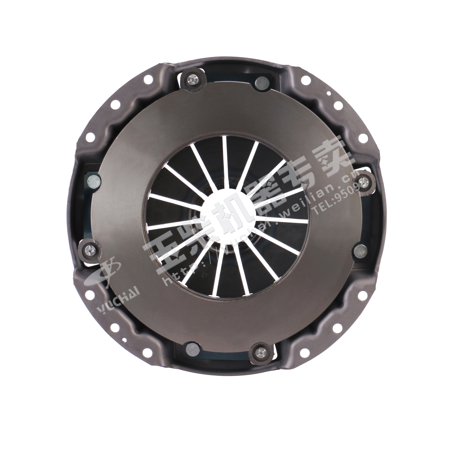 Clutch plate assembly