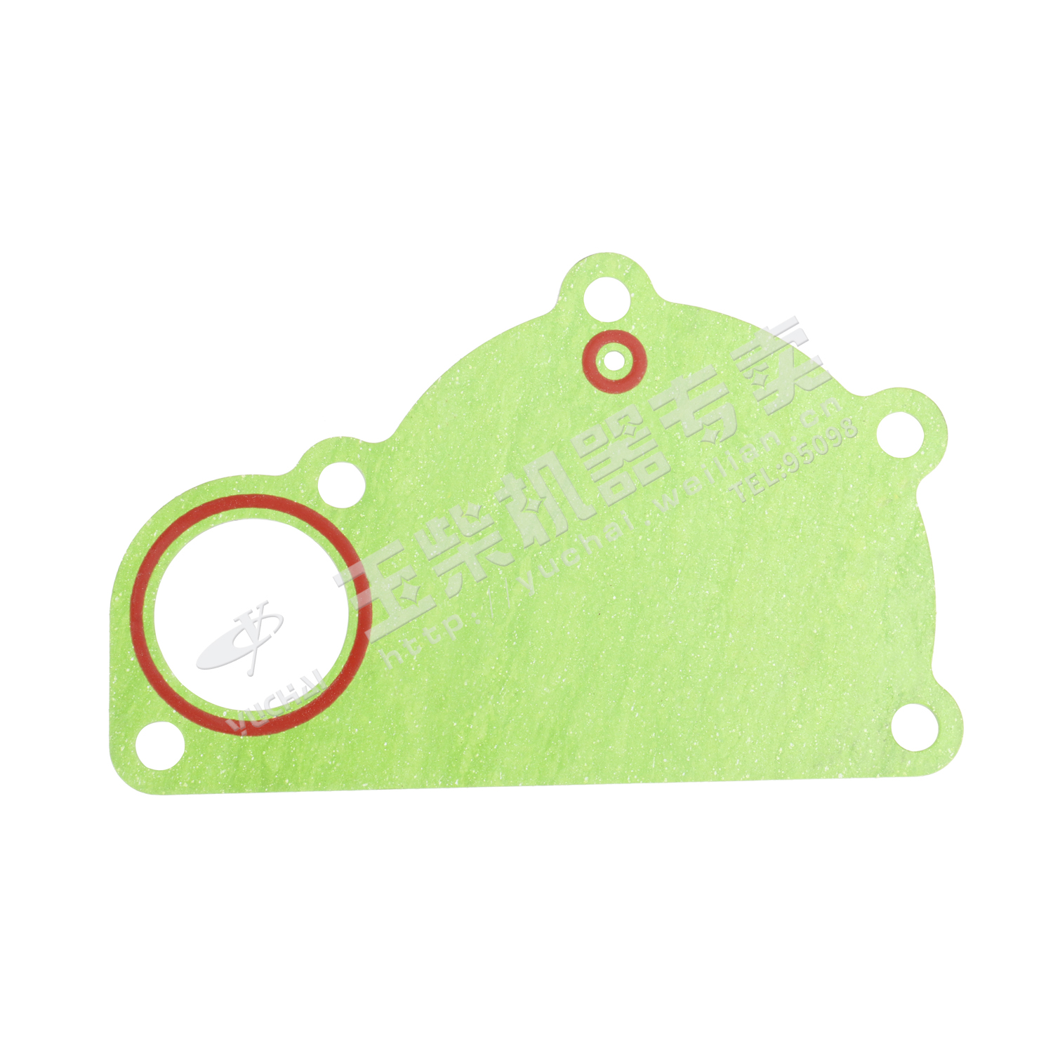 Water pump gasket