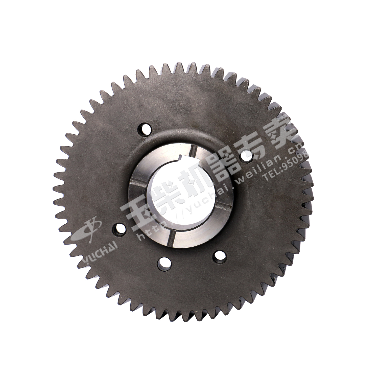 Fuel injection pump gear-1