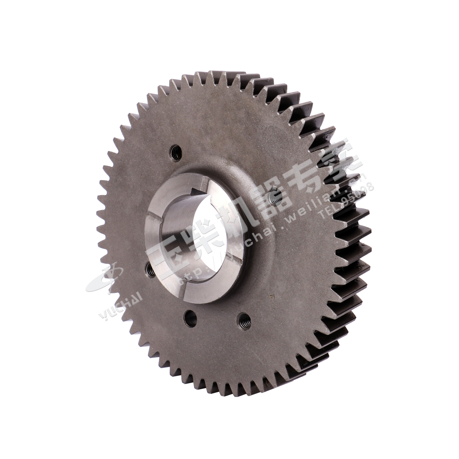 Fuel injection pump gear-3
