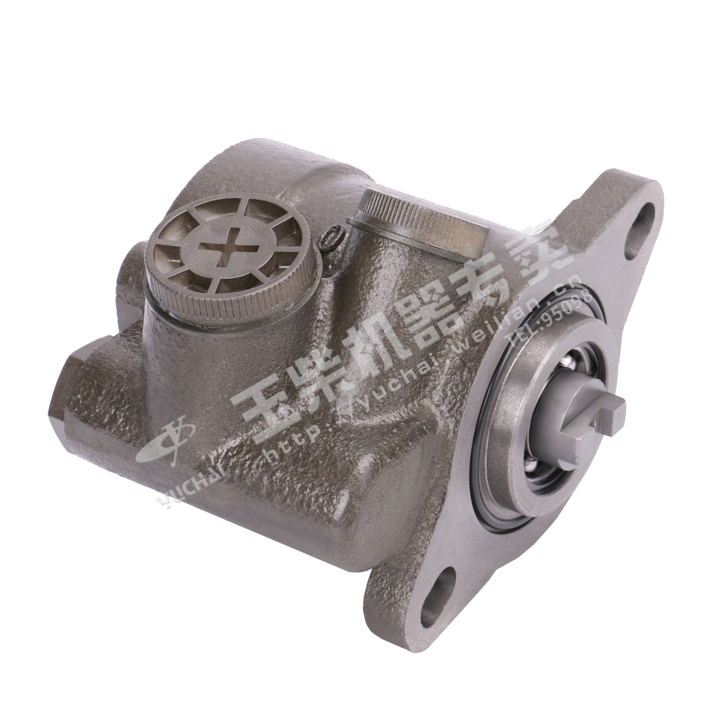 Steering pump-2