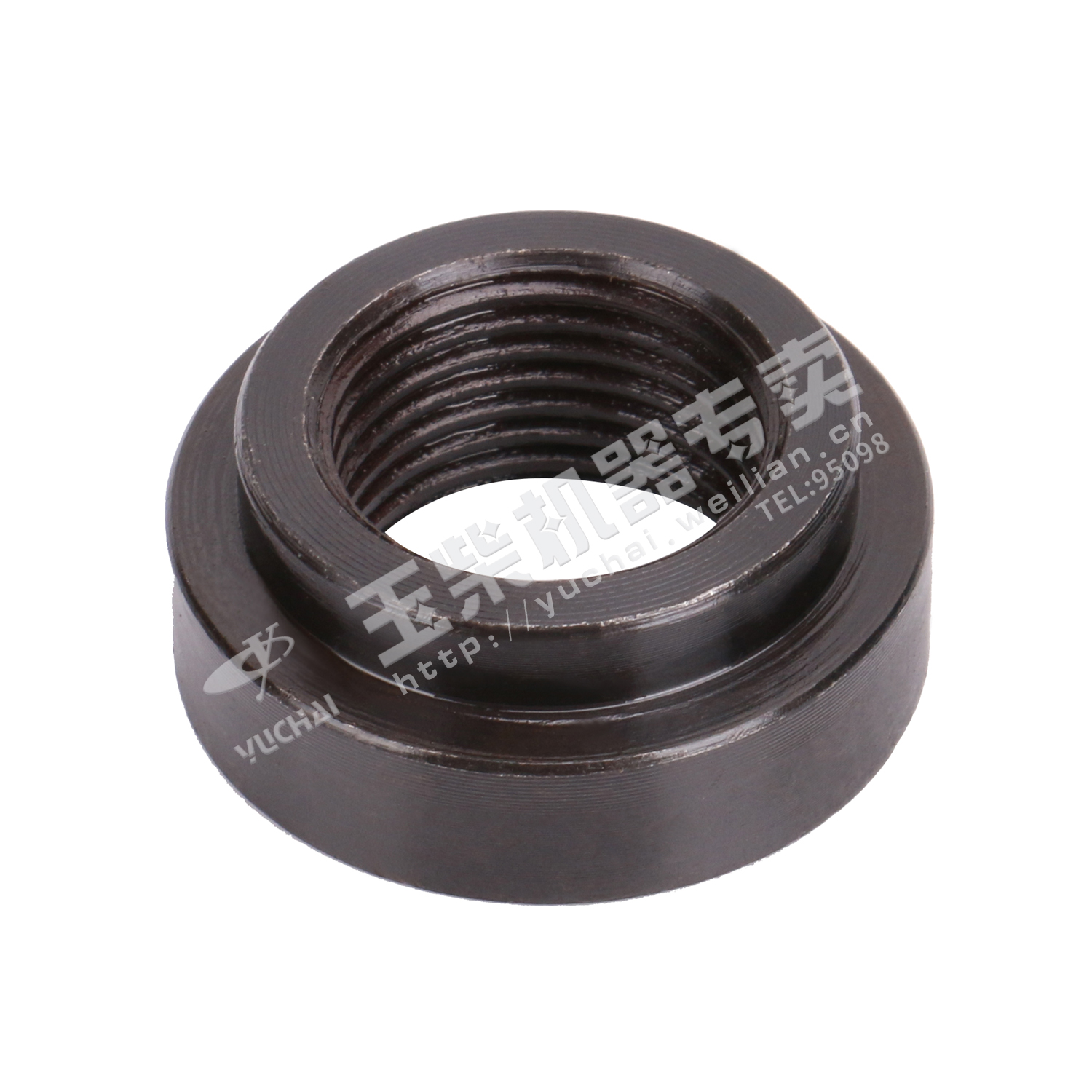 Oxygen sensor mount-1