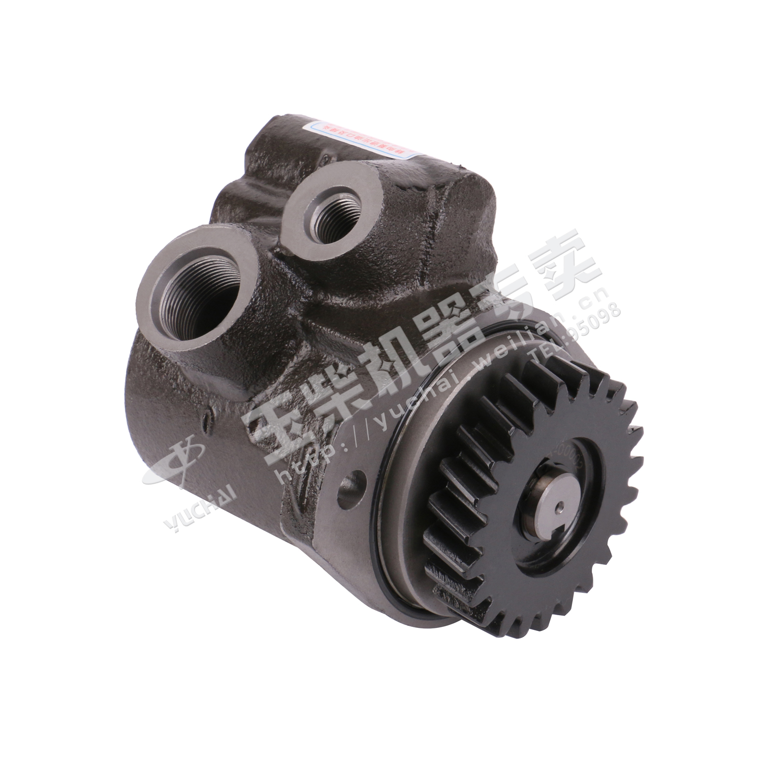 Steering pump-1