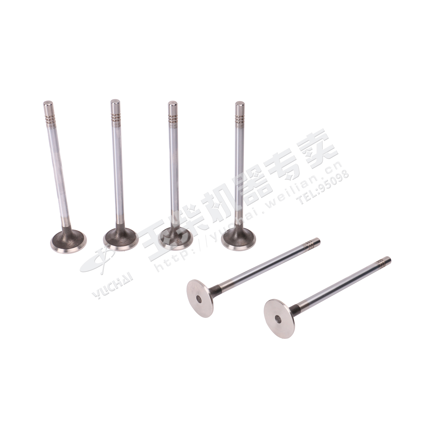 Выхлопная дверь-1