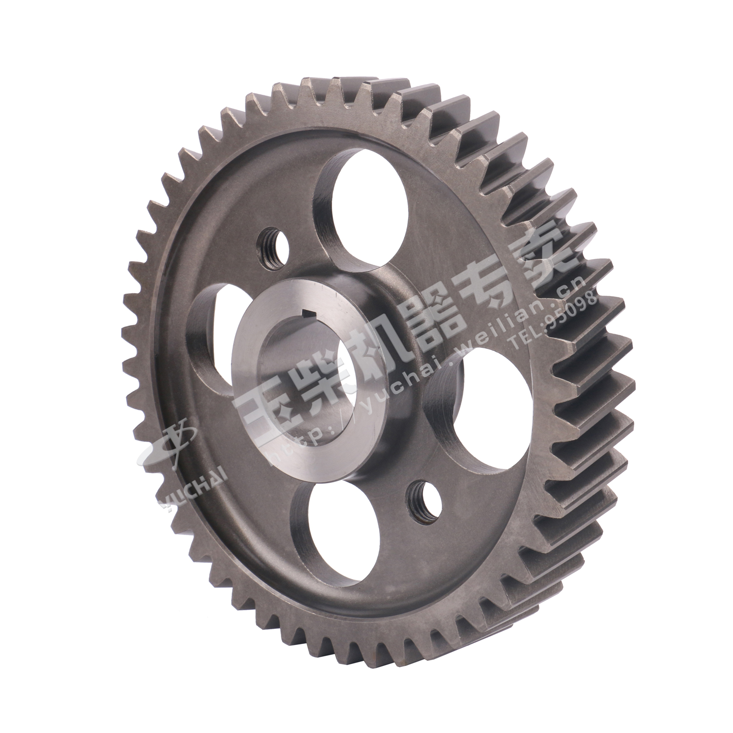 凸轮轴正时齿轮-2