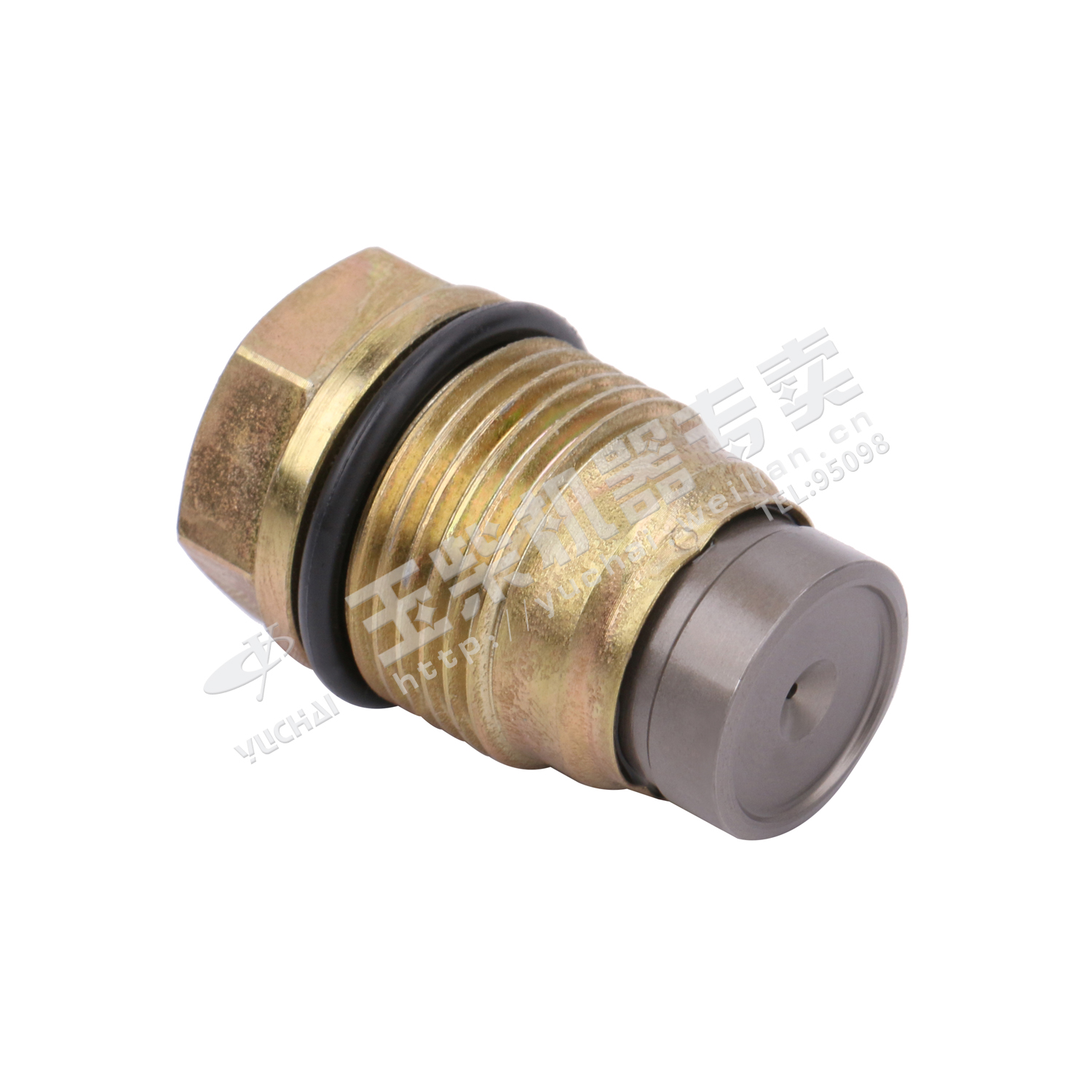 Oil rail pressure limiting valve-1