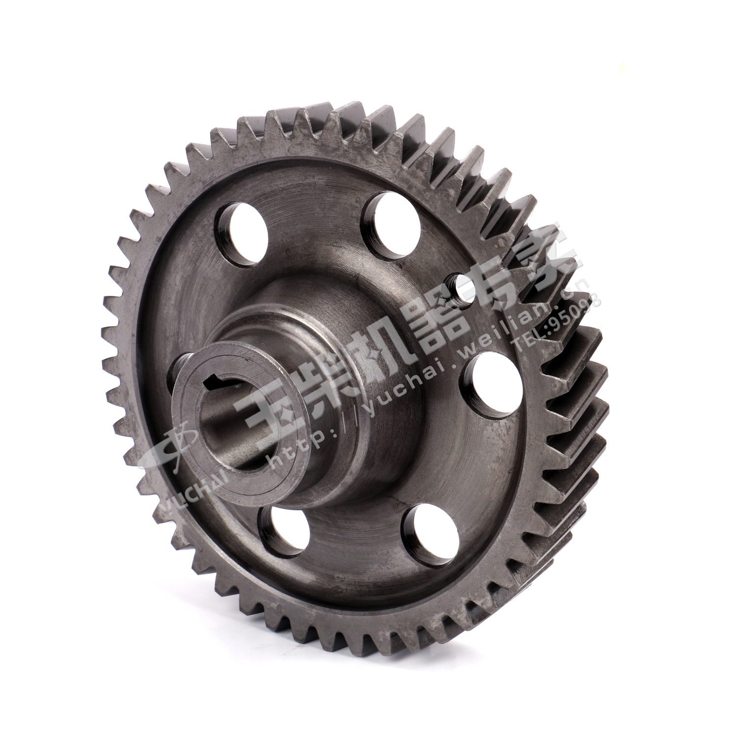 Fuel injection pump gear-1