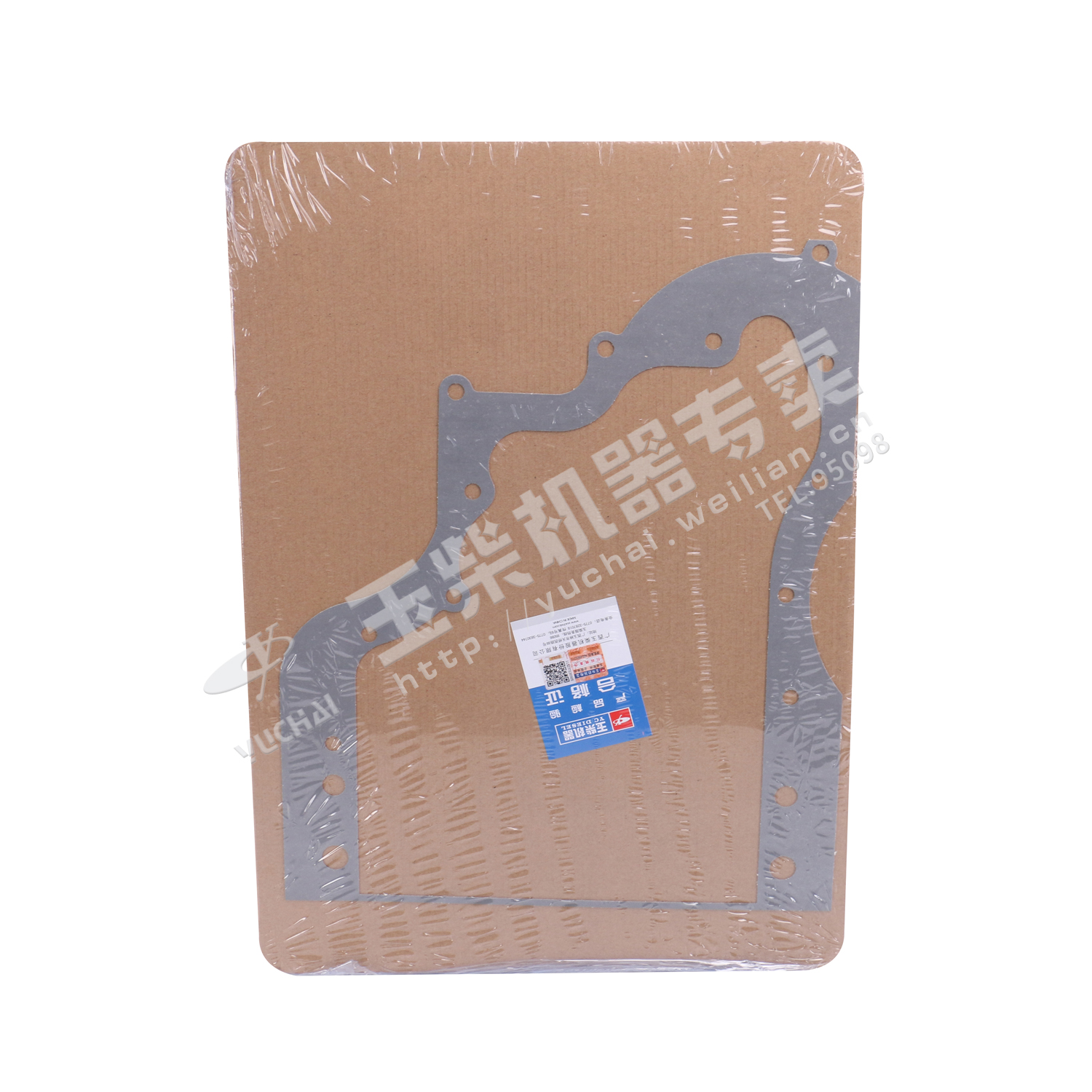 Timing gear chamber gasket