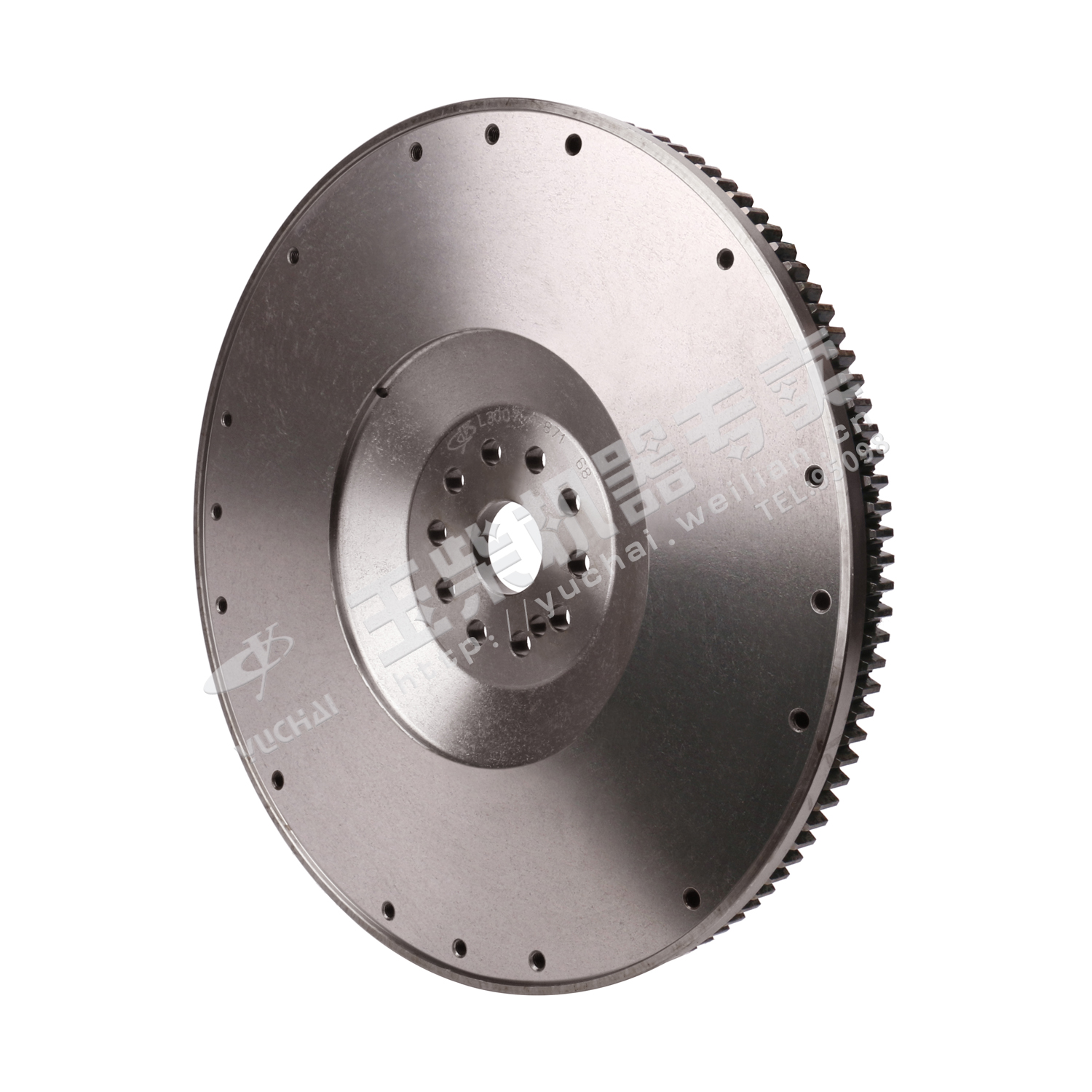 Flywheel and ring gear assembly-3