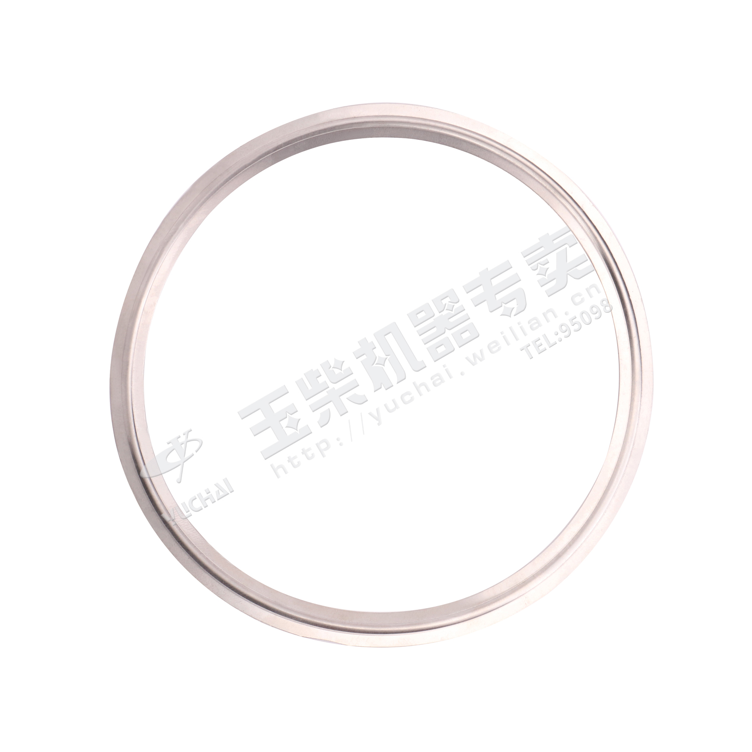 Catalytic muffler gasket