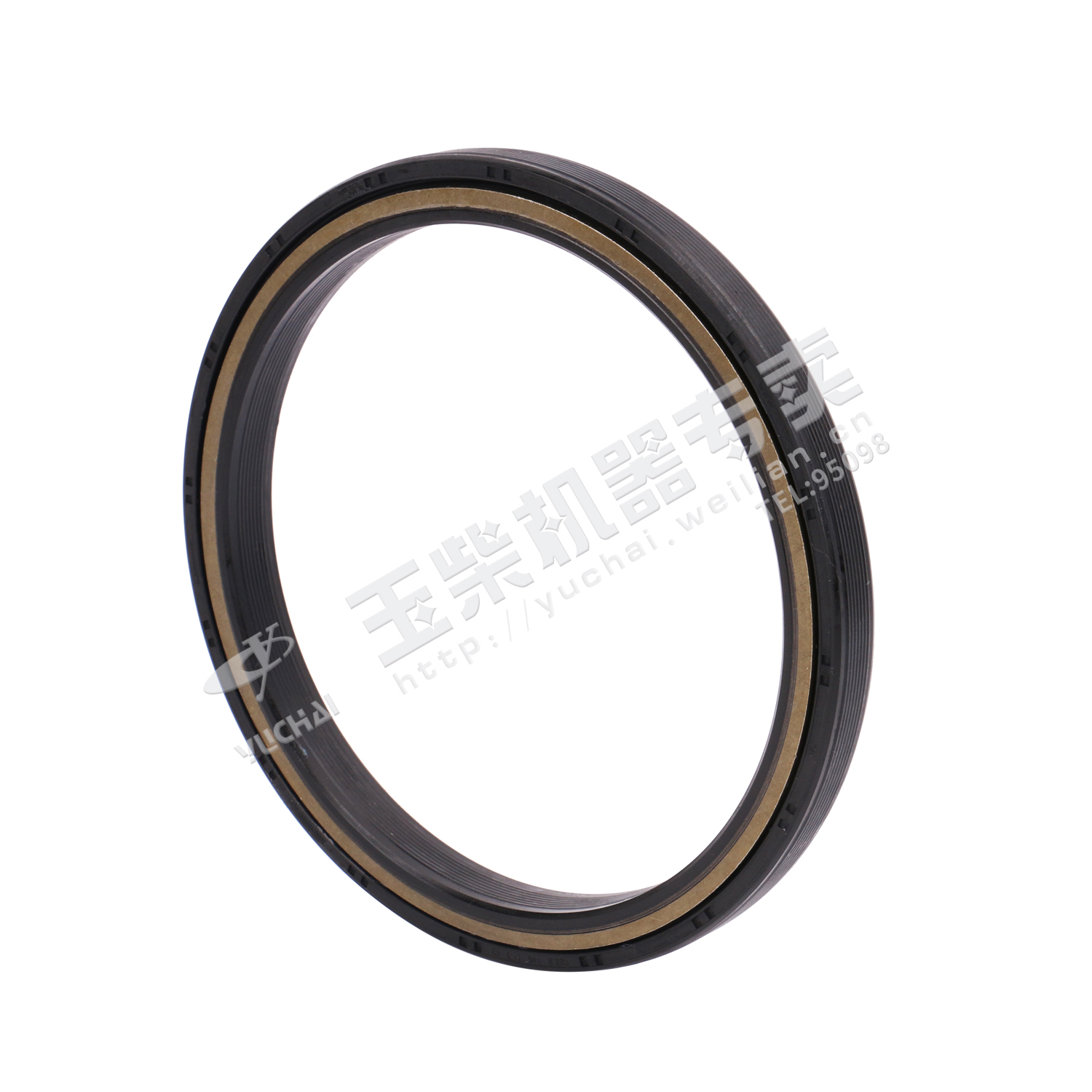 Crankshaft rear oil seal assembly