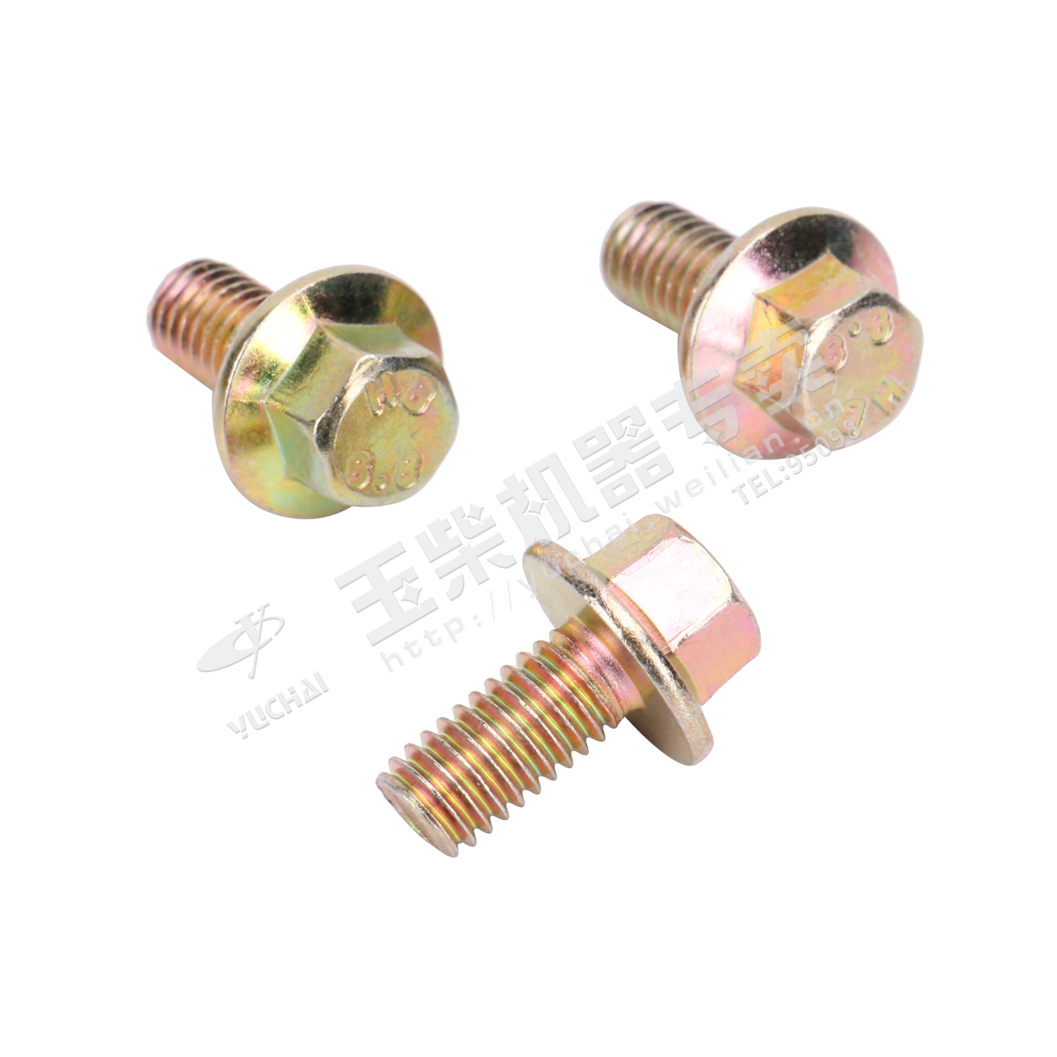 Фланговый болт поверхности 6*12