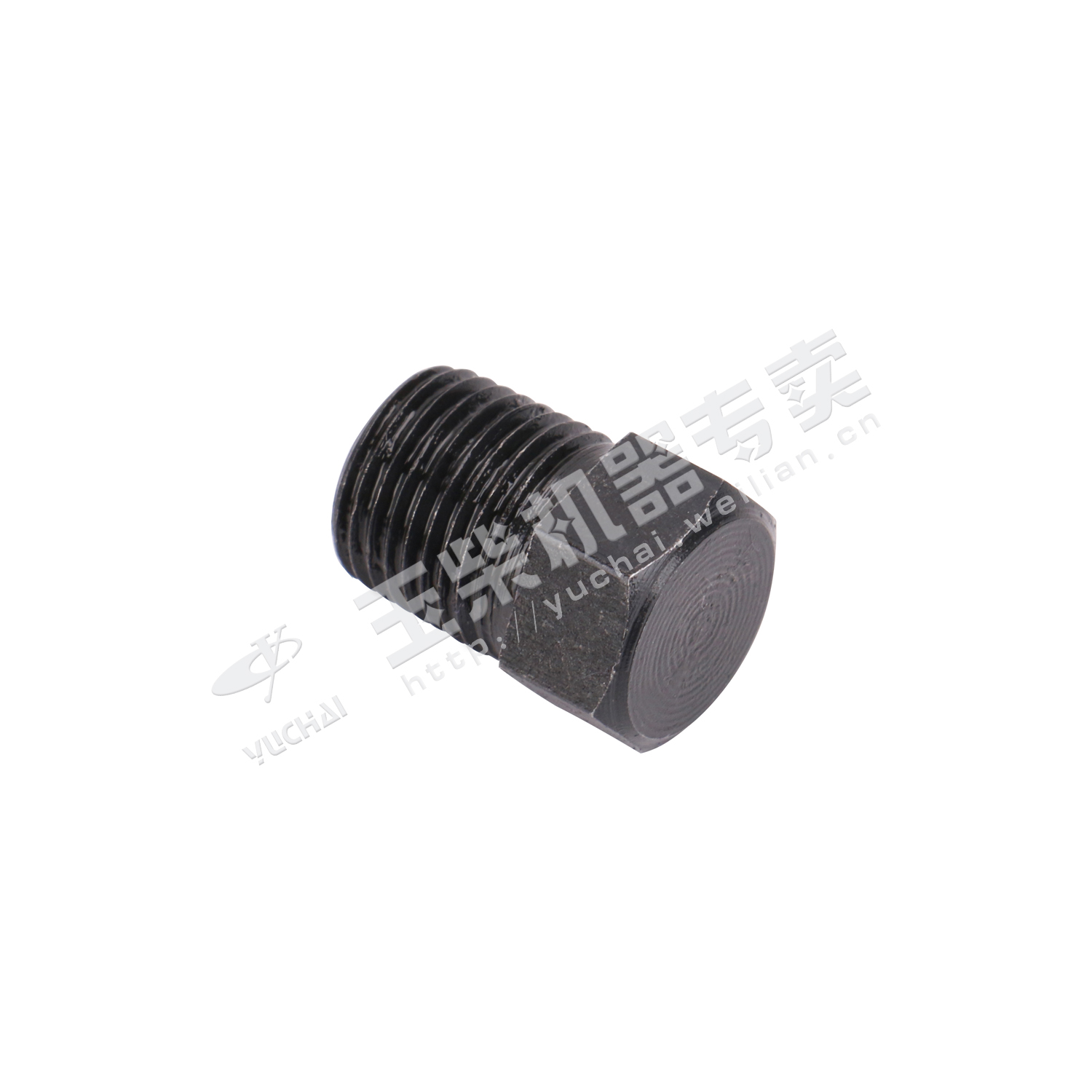 Screw plug NPT1/8