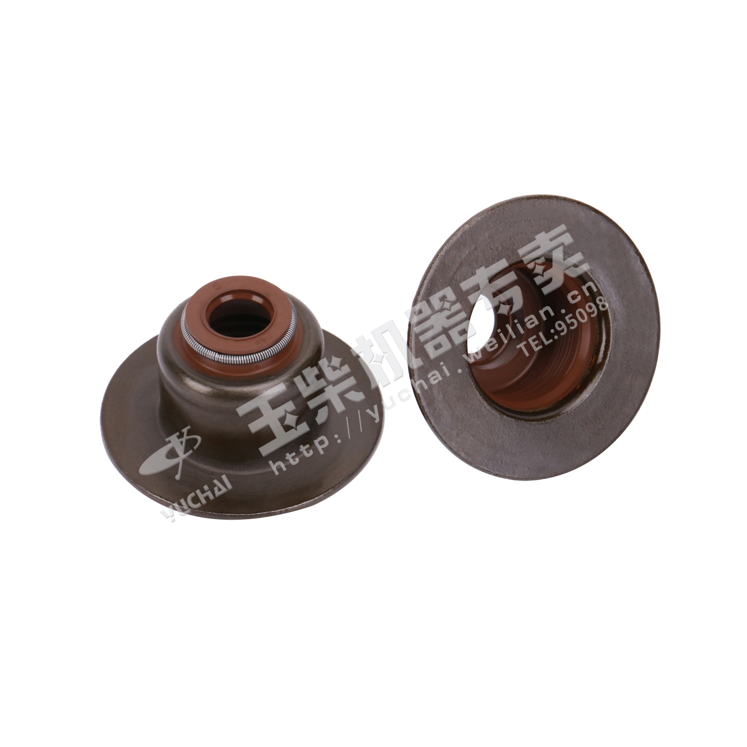 Valve rod oil seal-1