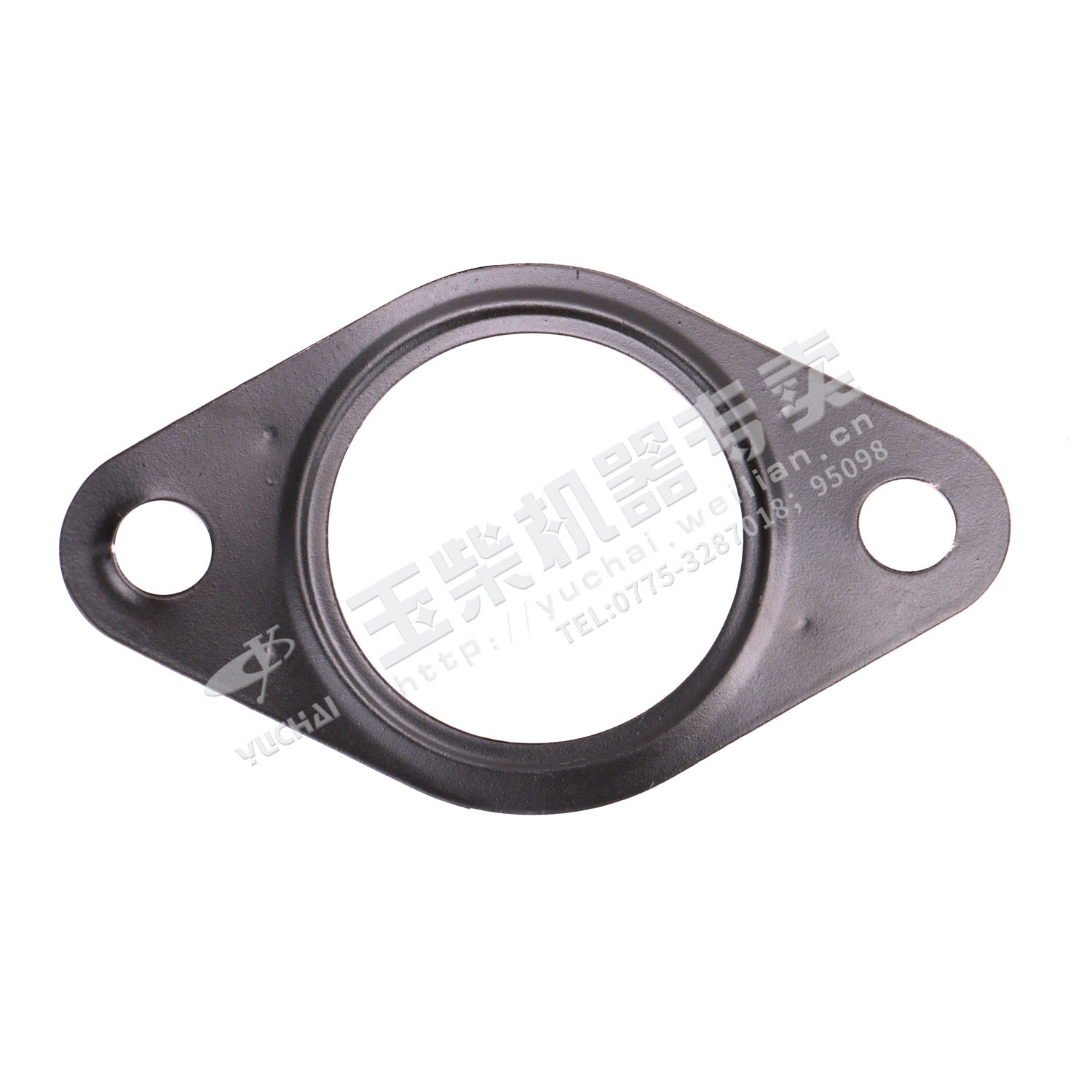 Exhaust pipe gasket assembly