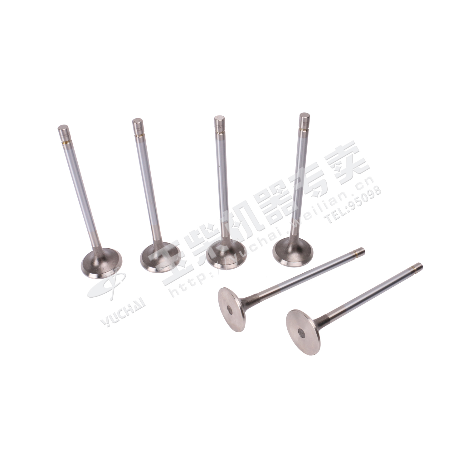 Выхлопная дверь-1