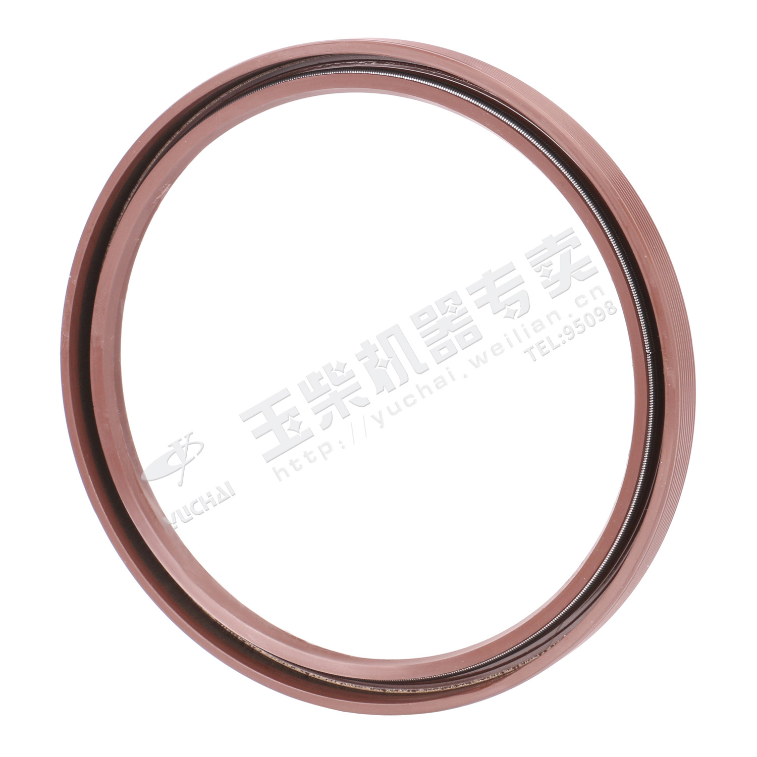 Oil seal 122X141-1