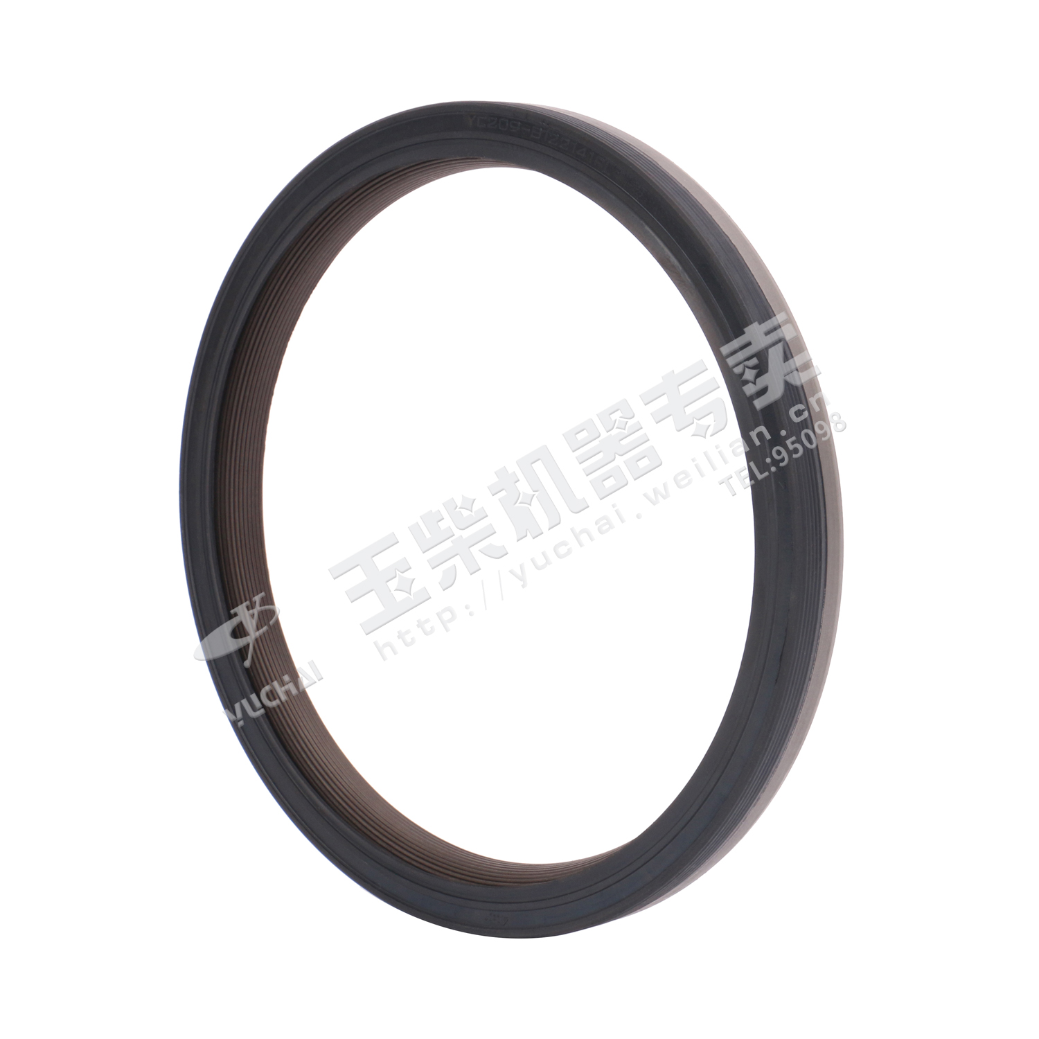Oil seal 122X141