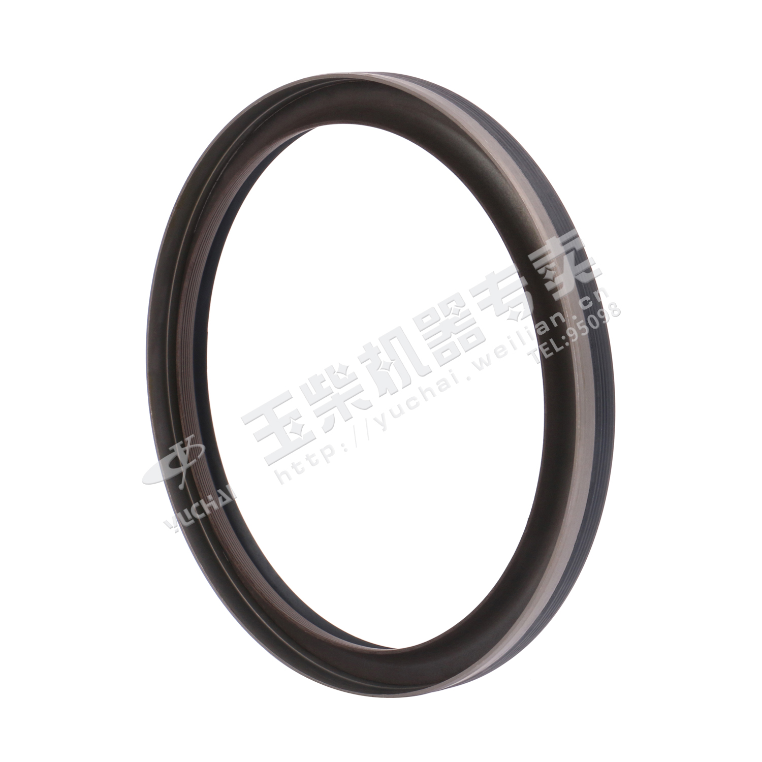 Oil seal 122X141-1