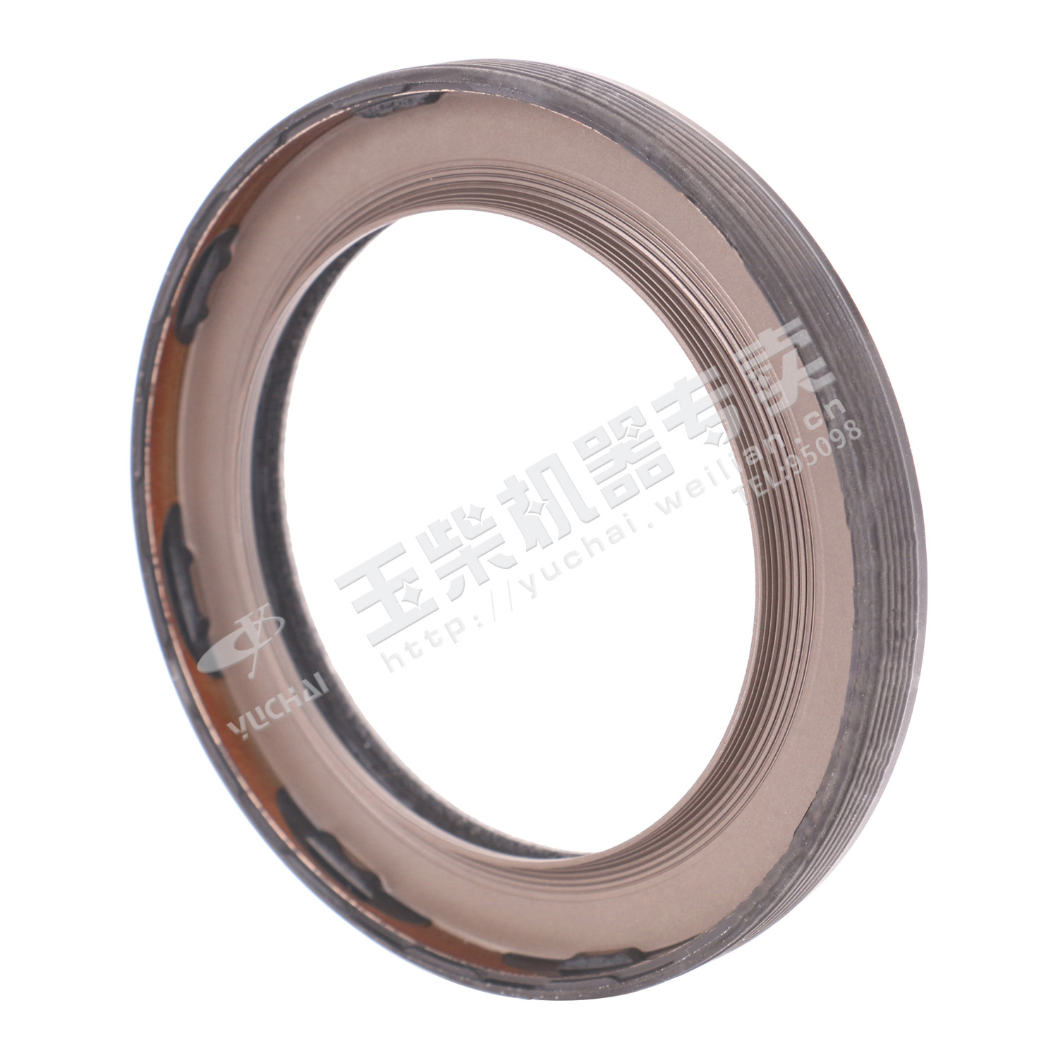 Oil seal 65*90-1