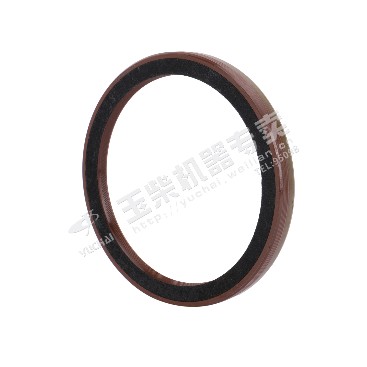 Oil seal 105X125