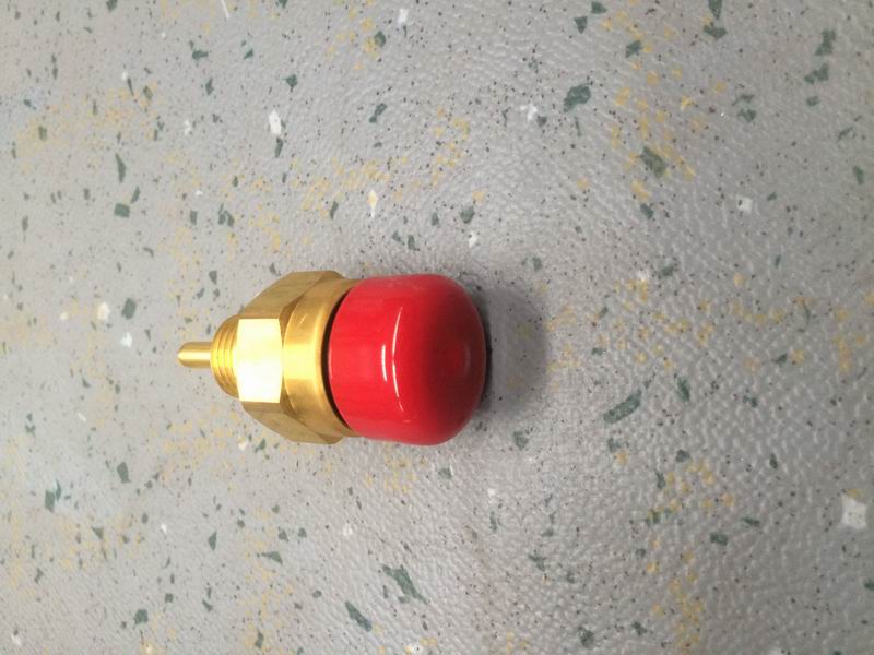 Water temperature sensor-2