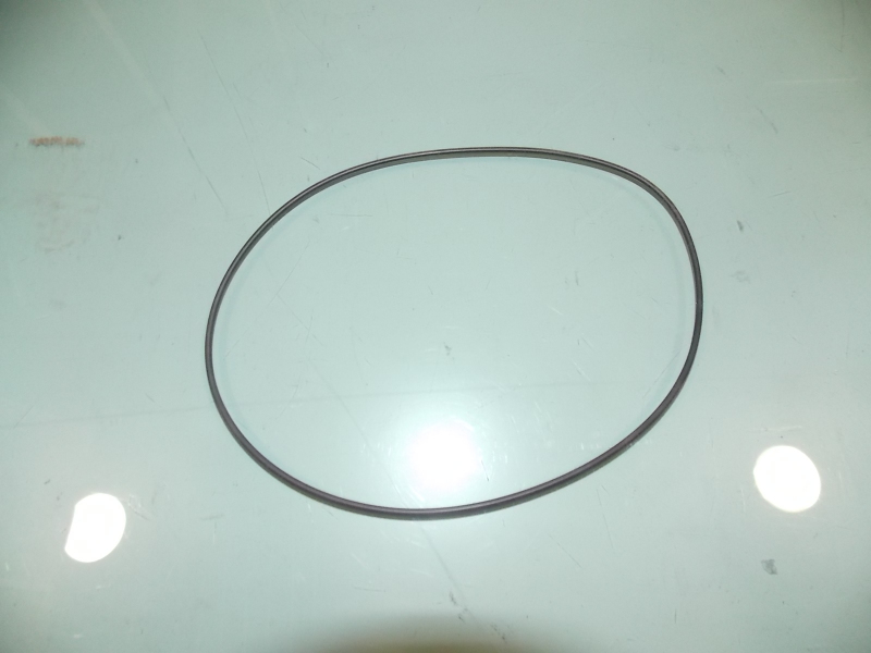 Cylinder liner seal ring