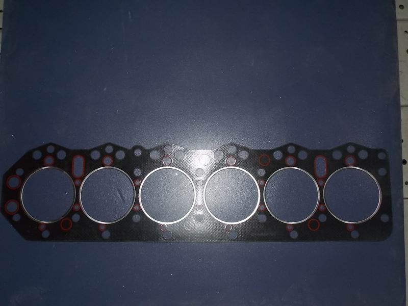 Cylinder gasket assembly