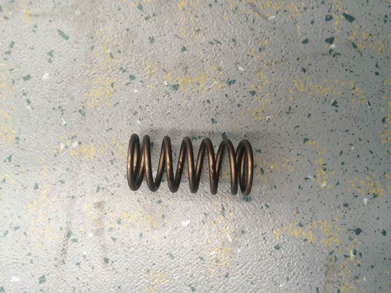 Disc valve spring