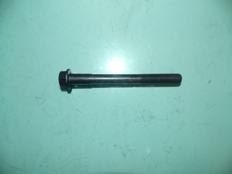 Cylinder head bolts (short); can be replaced by 1003-01981