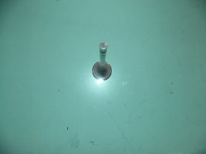 Дверца воздухозаборника