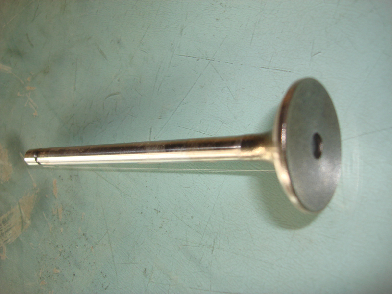 Exhaust door-1