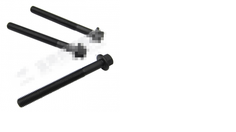 Cylinder head long bolt