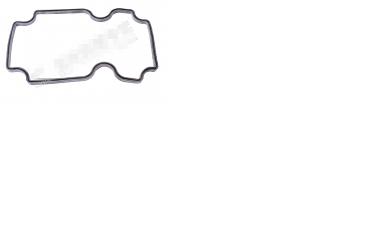 Cylinder head cover gasket-2