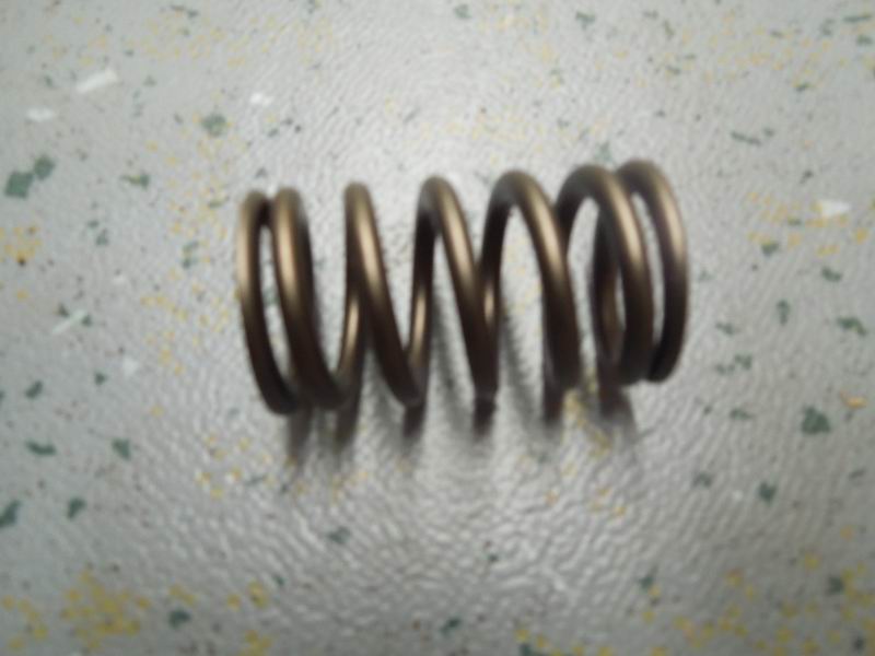 Valve spring; available for 1007-01680 generations