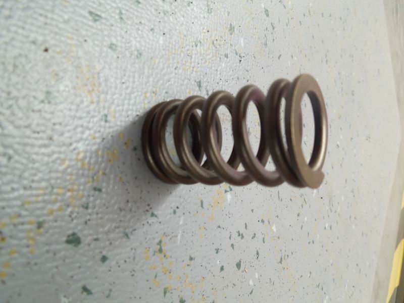 Valve spring; available for 1007-01680 generations-1