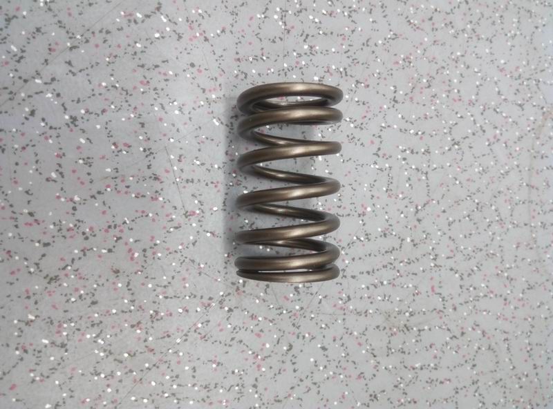 Valve spring