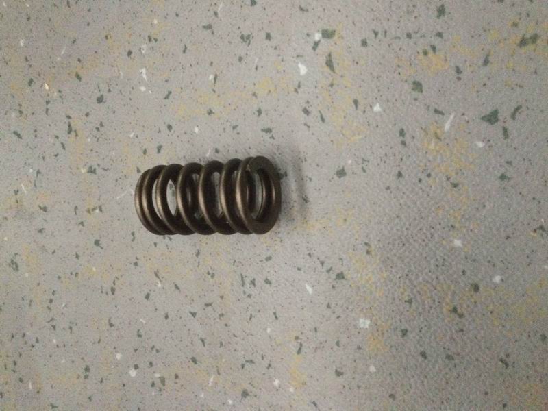 Valve spring-1