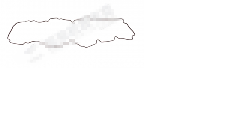 Прокладка крышки головки блока цилиндров