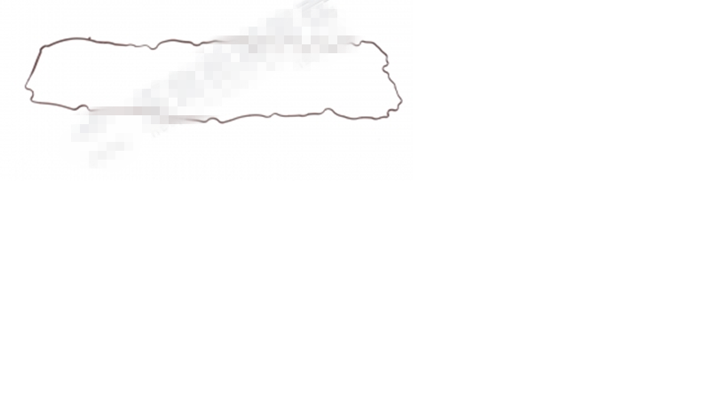 Прокладка крышки головки блока цилиндров; можно заменить на 1003-02247-1