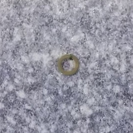 Gasket - Cylinder head bolt