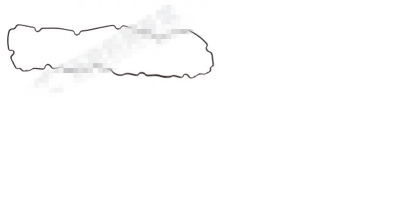 Cylinder head cover gasket