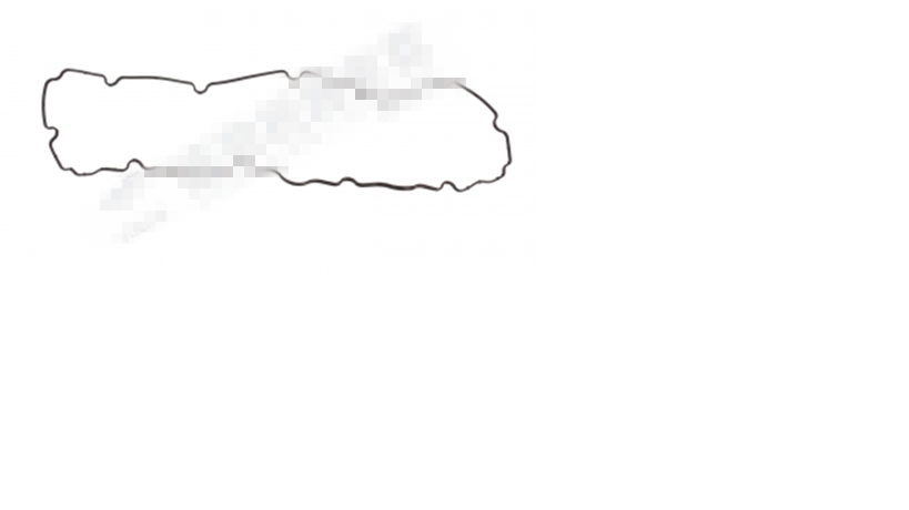 Cylinder head cover gasket-1