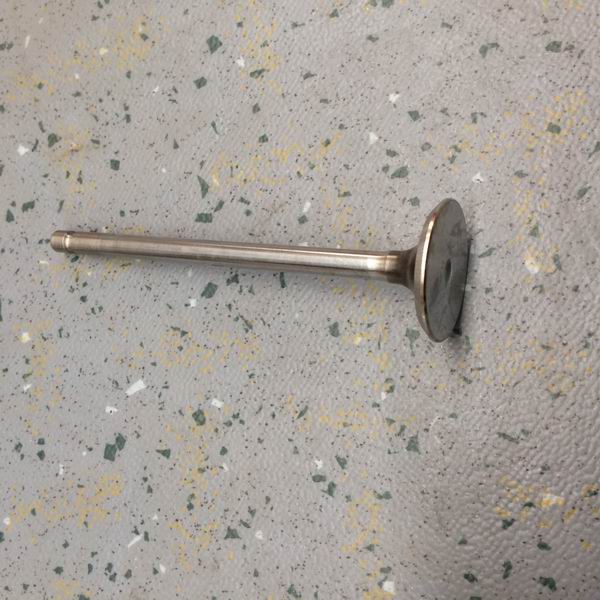 Exhaust door-1