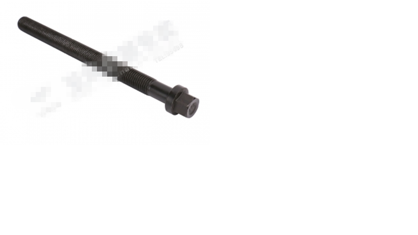 Cylinder head long bolt