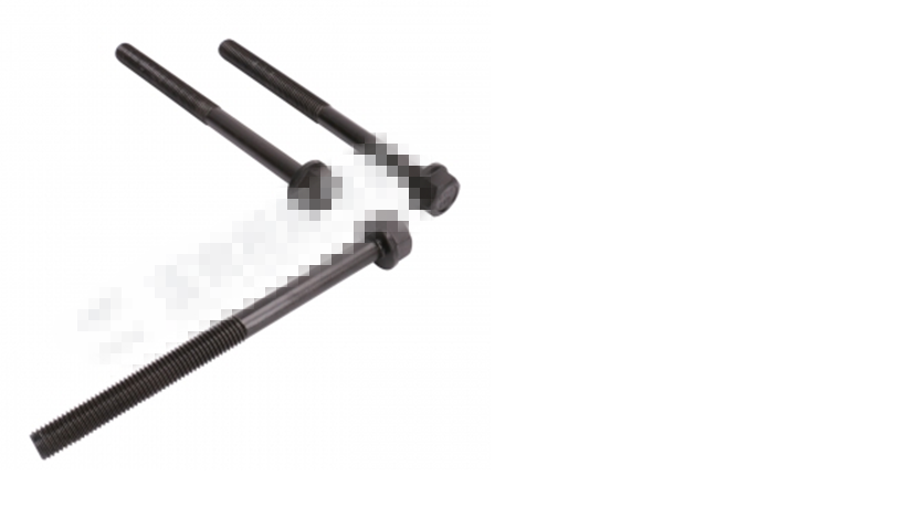 Cylinder head long bolt